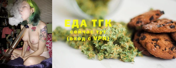 индика Нефтегорск