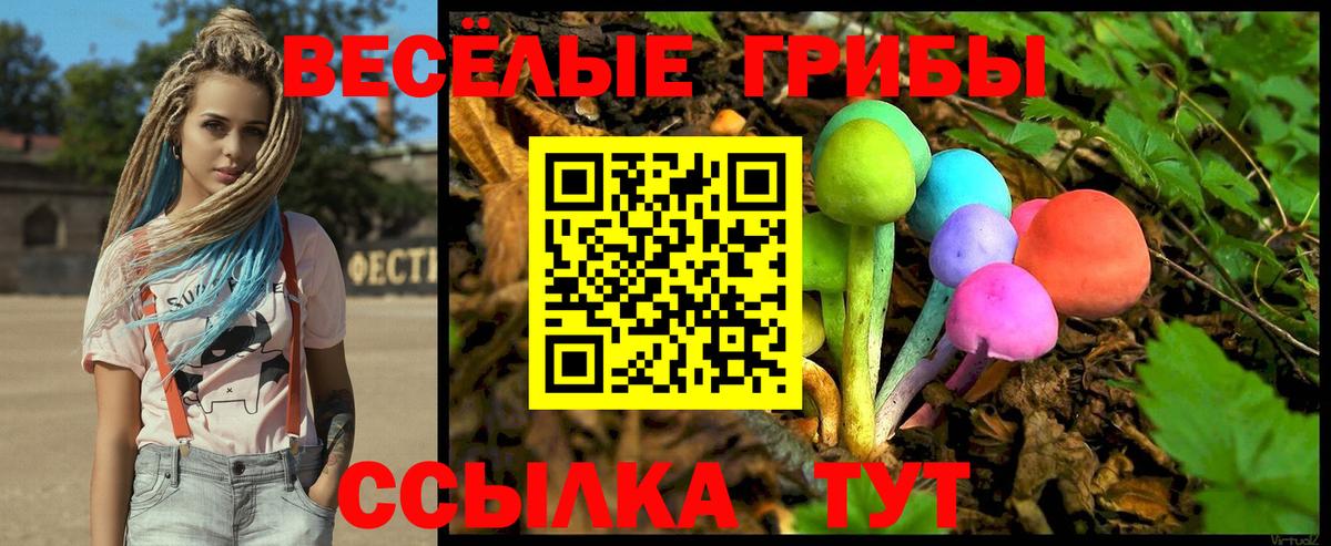 Норильск  Галлюциногенные грибы GOLDEN TEACHER  Вход с VPN 